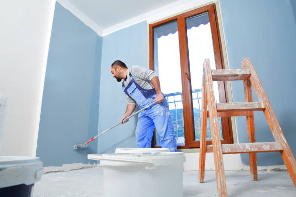 Best Trim and Molding Painting  in Chatfield, MN